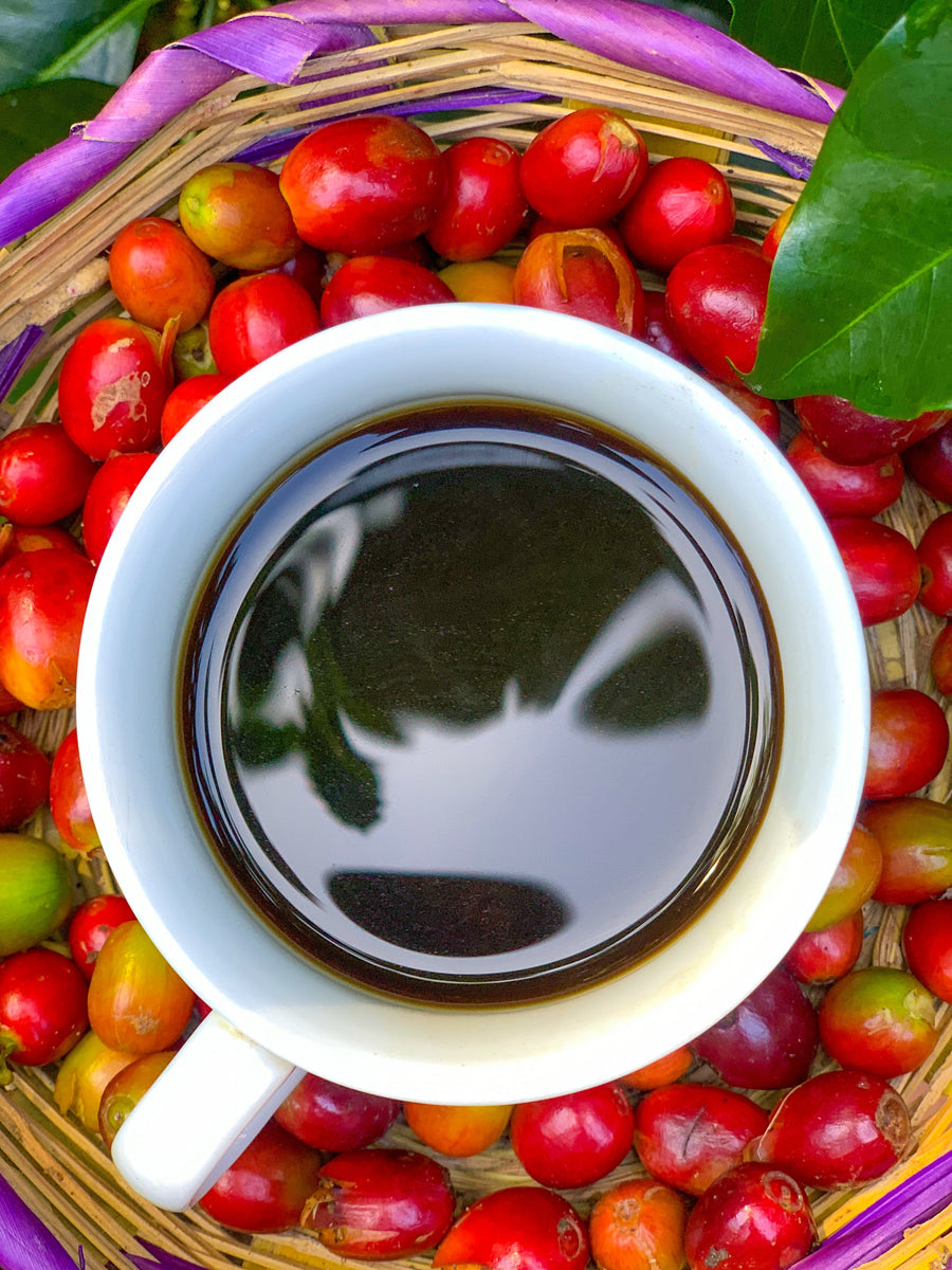 A white cup of coffee surrounded by colorful coffee cherries in a woven basket