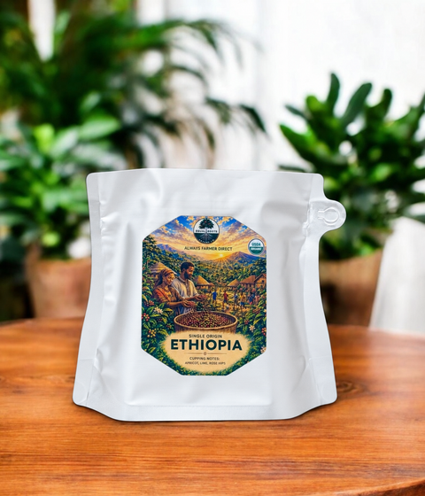 Equal Roots organic Ethiopia coffee 100g sample bag