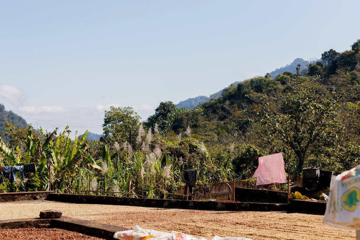 Rancho Santa Fe farm landscape in Puebla, Mexico